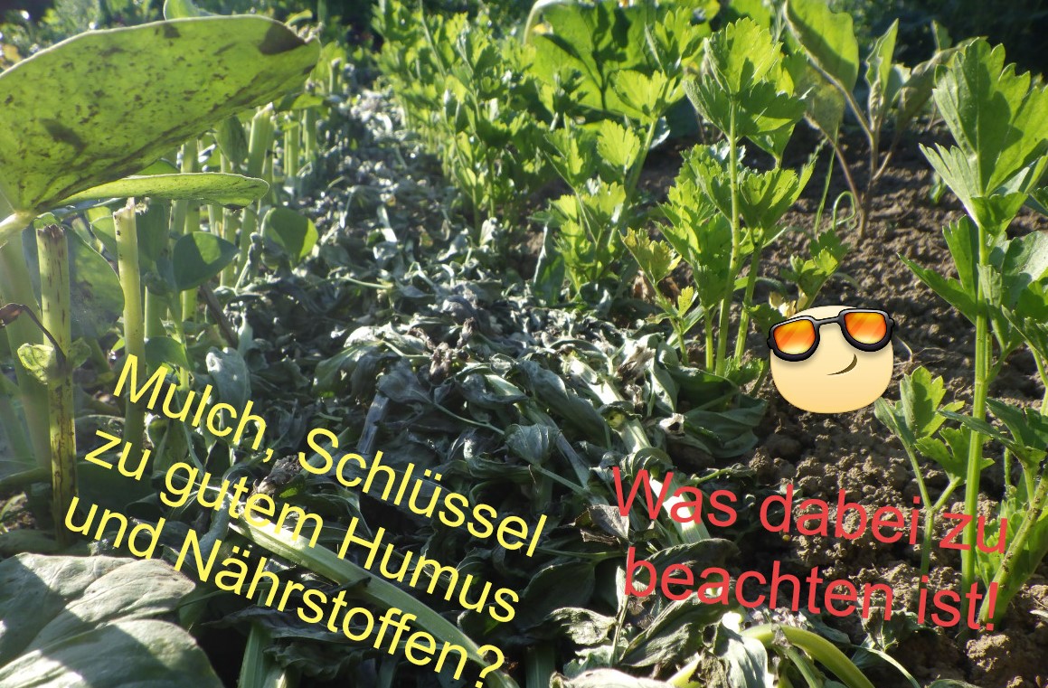 Kompost, der funktioniert! Kompost, der funktioniert!