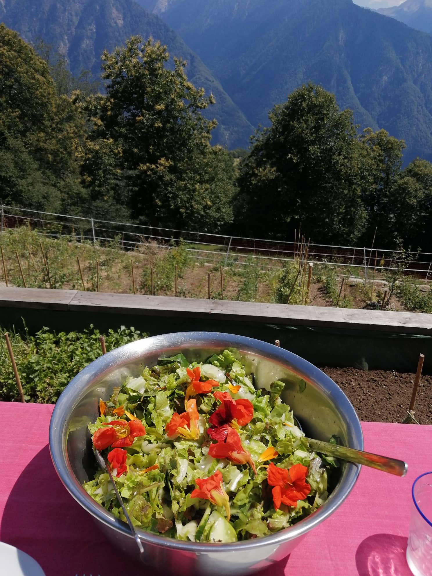 Terrazze Sante: Dinner in the Garden Terrazze Sante: Dinner in the Garden
