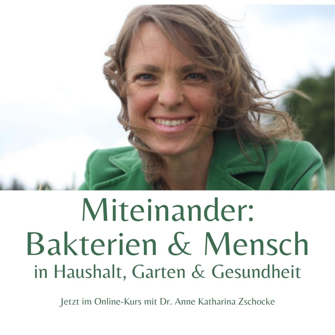 Dr. Anne Katharina Zschocke Dr. Anne Katharina Zschocke