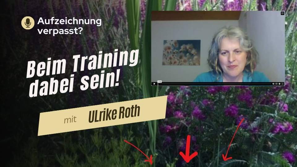 Jetzt noch anmelden! Jetzt noch anmelden!