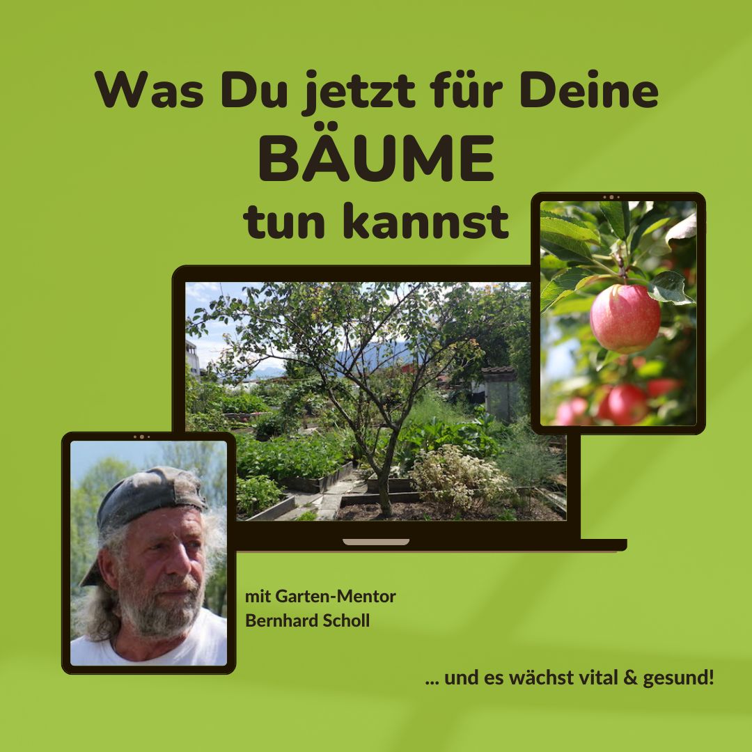 Erste Hilfe für Bäume mit Garten-Mentor Bernhard Scholl Erste Hilfe für Bäume mit Garten-Mentor Bernhard Scholl