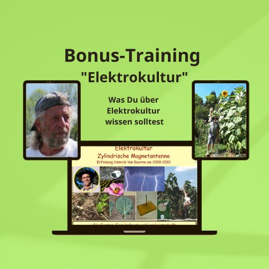 Elektrokultur Bernhard Scholl