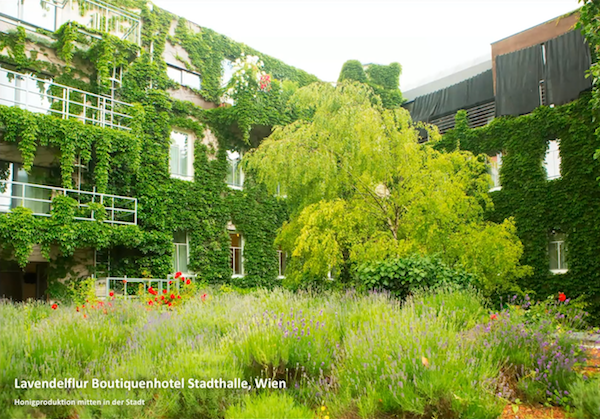 Lavendelflur Boutiquenhotel Stadthalle Wien, Quelle: Prof. Pfoser Lavendelflur Boutiquenhotel Stadthalle Wien, Quelle: Prof. Pfoser
