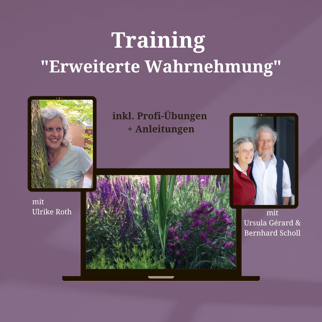 Training: Erweiterte Wahrnehmung