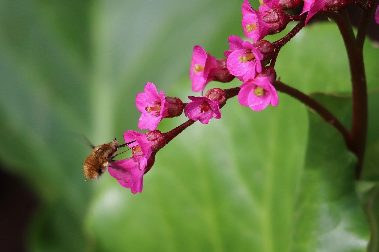 pixabay-image-8719639