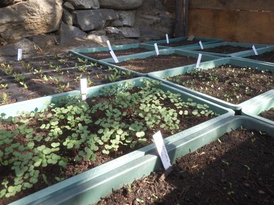 Warmbeet, warme Füsse in der Nacht Warmbeet, warme Füsse in der Nacht