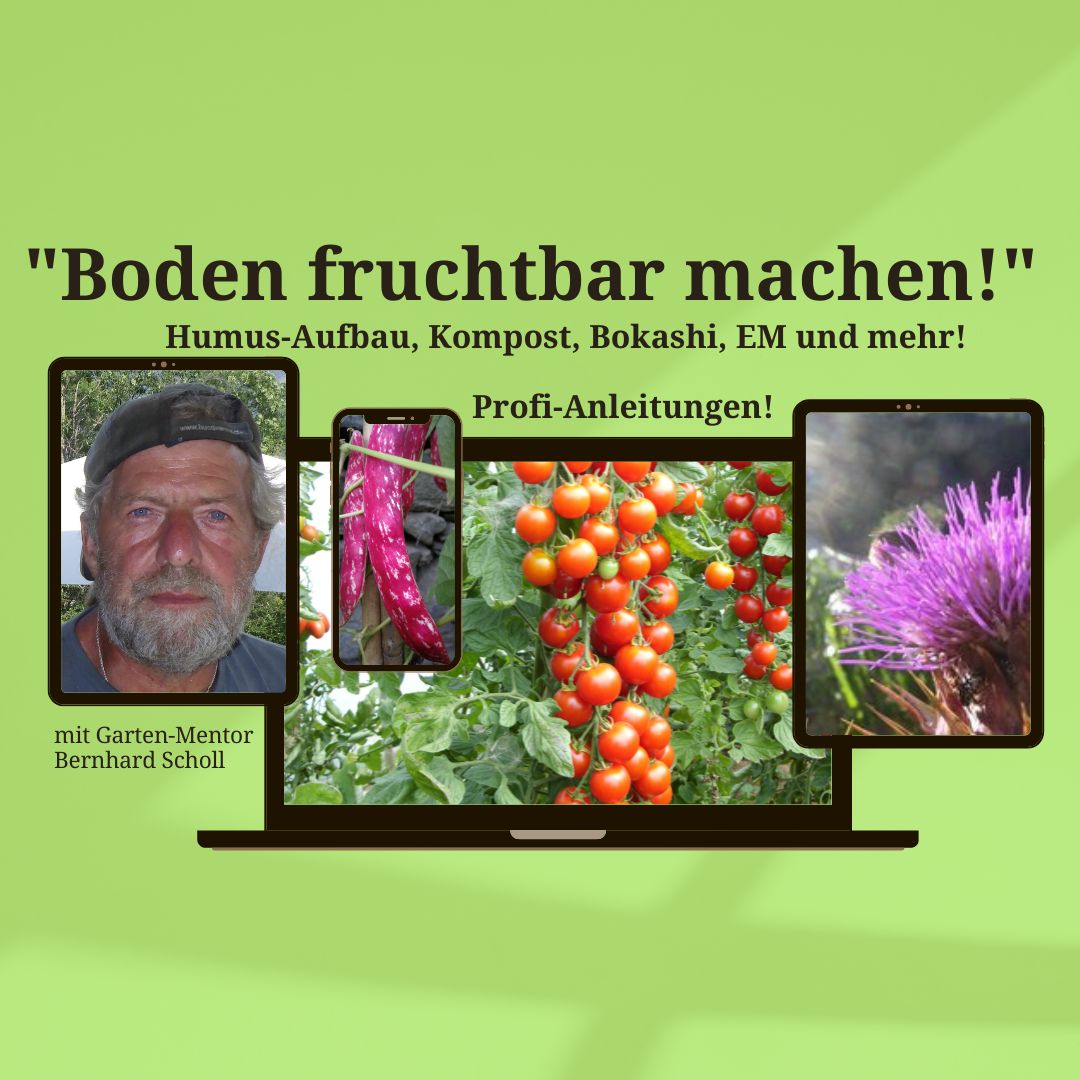 Das neue 8-Wochen Kompakt-Training