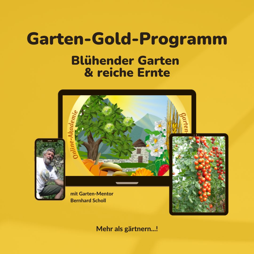 Garten-Gold-Programm mit Garten-Mentor Bernhard Scholl Garten-Gold-Programm mit Garten-Mentor Bernhard Scholl