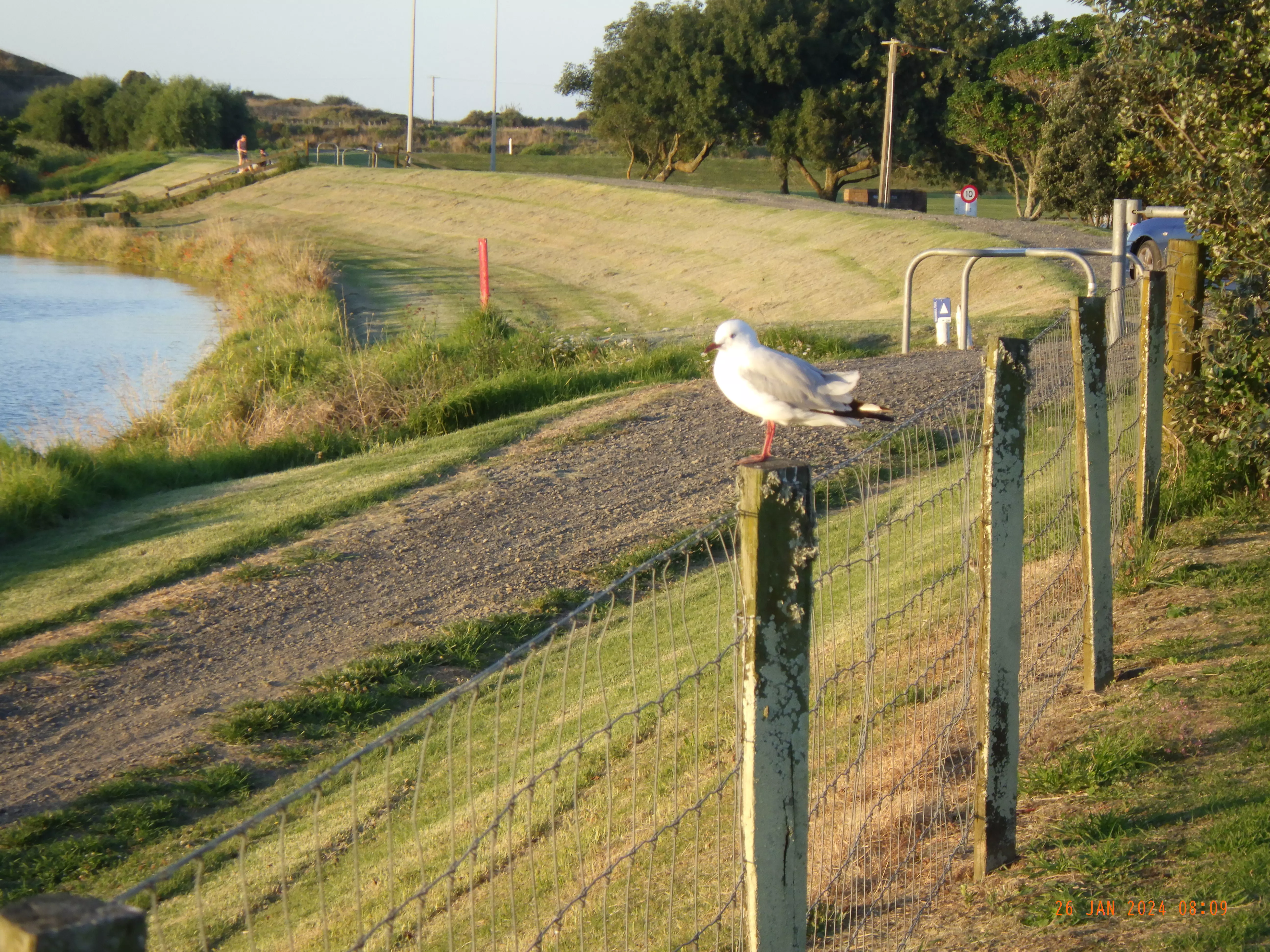 Opotiki - Strand am Fluß und am Meer
