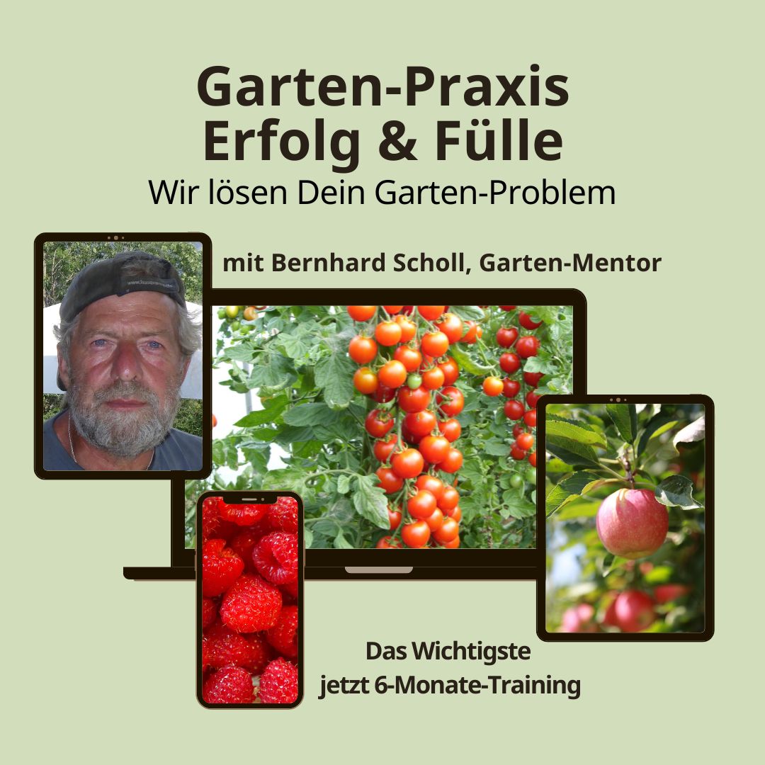 Garten-Praxis mit Garten-Mentor Bernhard Scholl Garten-Praxis mit Garten-Mentor Bernhard Scholl
