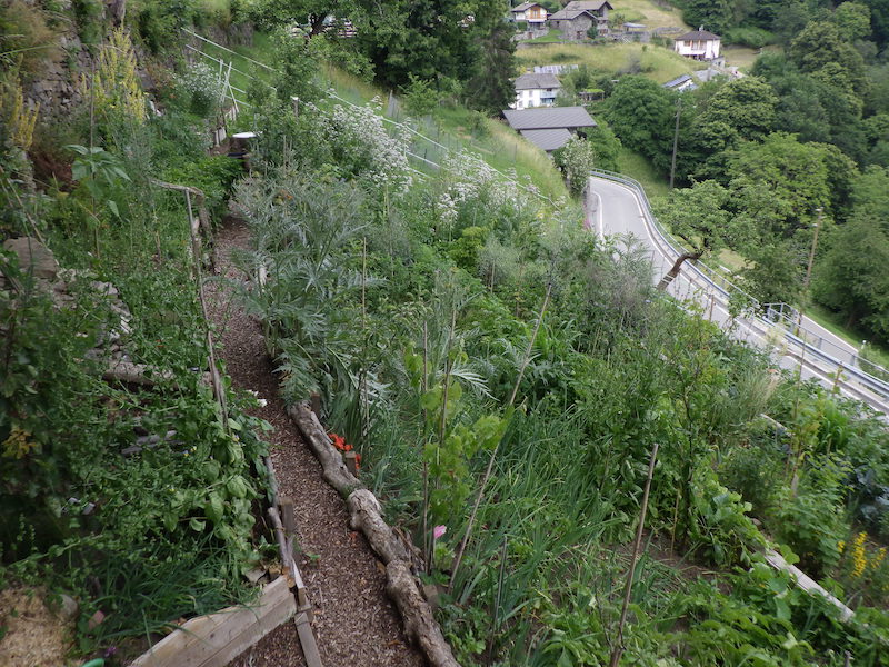 Permakulturgarten zu verkaufen
