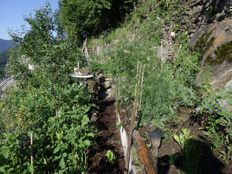 Permakulturgarten zu verkaufen
