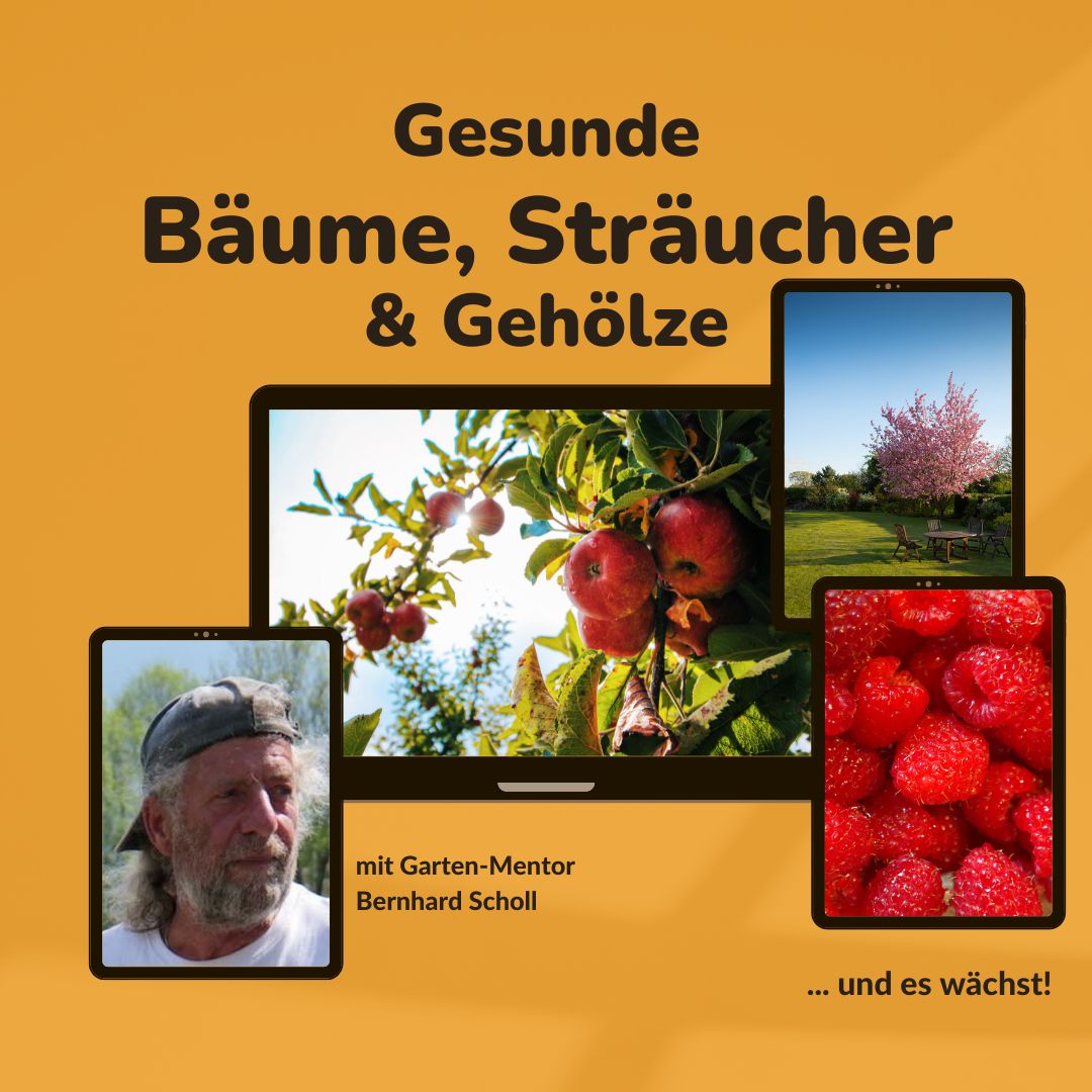 Baum-Kurs 2.0 mit Garten-Mentor Bernhard Scholl Baum-Kurs 2.0 mit Garten-Mentor Bernhard Scholl