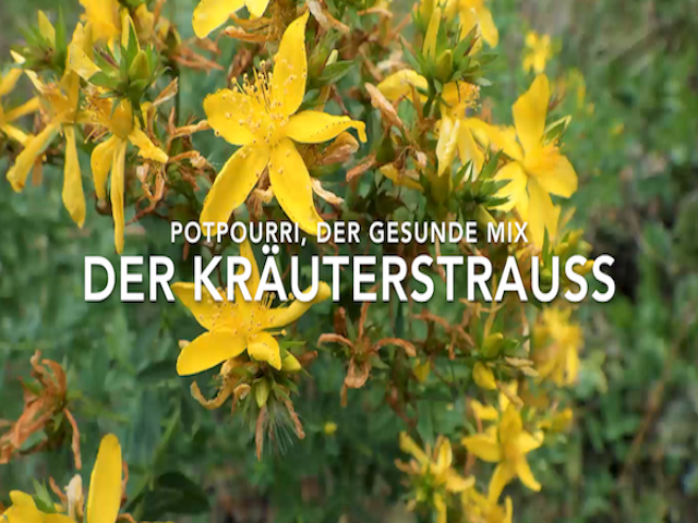 Beete anlegen, Permakultur, Selbstversorgung Beete anlegen, Permakultur, Selbstversorgung