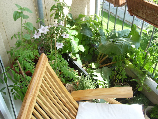 Nutzbalkon Anke Plehn Nutzbalkon Anke Plehn