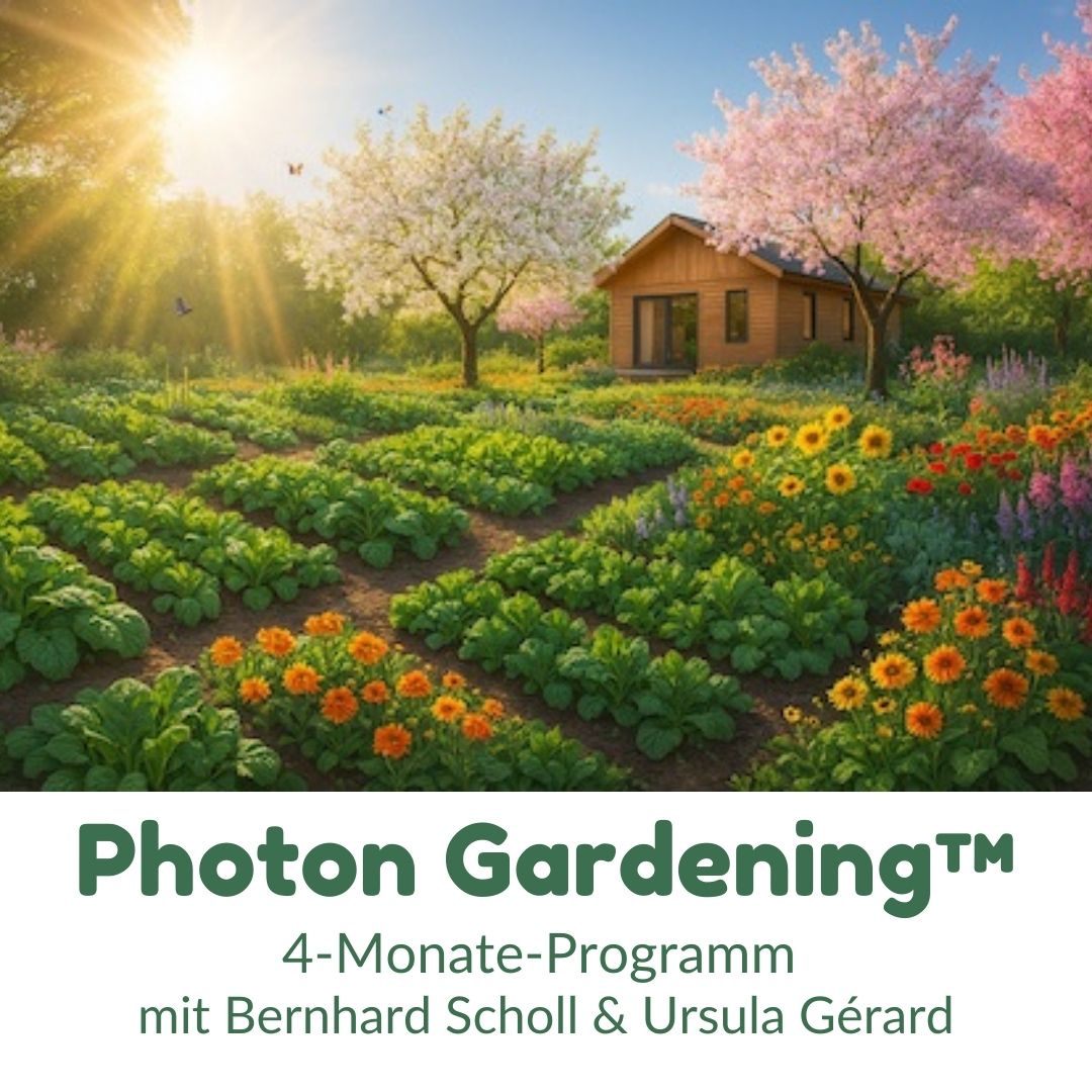 Fragen zum neuen Programm: Photon Gardening™? Dann buche Dir einen Termin. Fragen zum neuen Programm: Photon Gardening™? Dann buche Dir einen Termin.