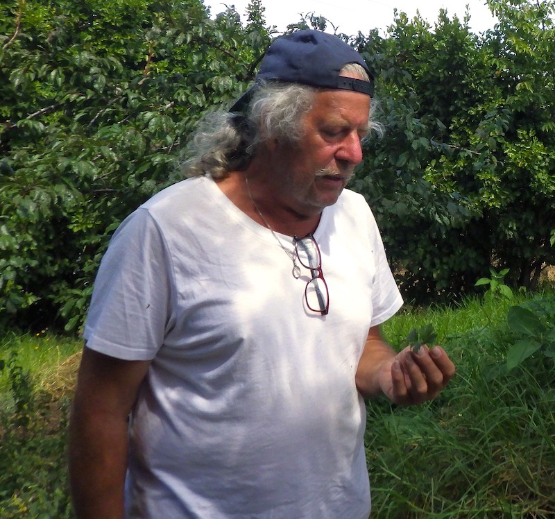 Garten-Mentor Bernhard Scholl