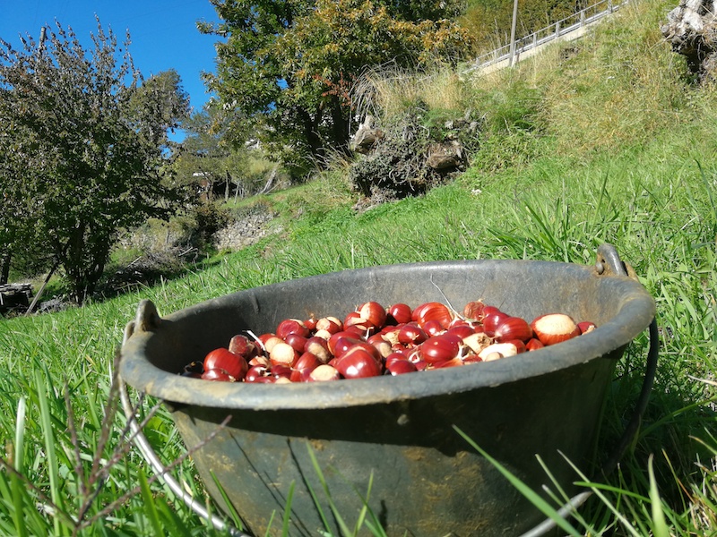 Gartengrundstück terrassiert