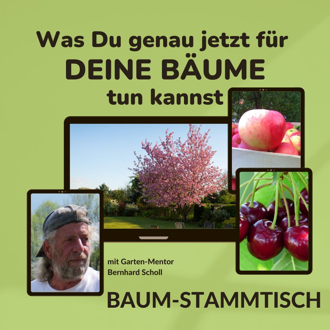 Baum-Stammtisch.jpg